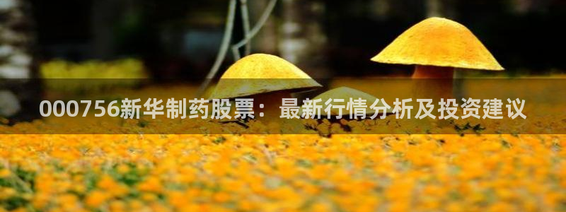 9游会老哥俱乐部：000756新华制药股票：最新行情分析及投资建议