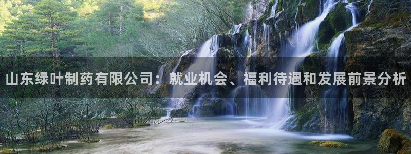 九游会老哥俱乐部官网