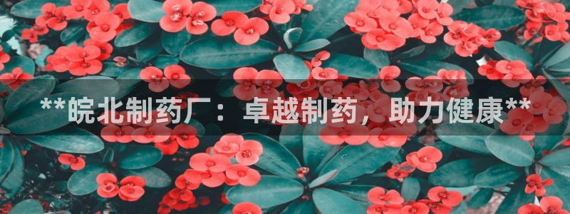 九游会老哥俱乐部官方网站